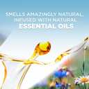 Air Wick Plug in Scented Oil Refill, 7 ct, Peach & Sweet Nectar, Air Freshener, Essential Oils (4.73 Fl Oz (Pack of 1))