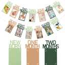 Buryeah Green and Kraft 1st Birthday Photo Banner for Baby from Newborn to 12 Months One Year Photo Garland with Frame First Birthday Banner Decorations for Girl Monthly Milestones Garland