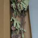 Floroom 5pcs Light Taupe Faux Silk Mums Artificial Flowers, Bulk Fake Small Mini Chrysanthemums with Stems for DIY Wedding Centerpieces Floral Arrangements Vase Fillers Home Decorations