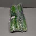 Artificial Fake Outdoor Plants Flowers for Summer Decoration,10 Bundles Faux Plastic Tall Monkey Grass Greenery UV Resistant Realistic for Home Outside Planter Window Porch Patio Garden-White