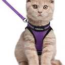 Rabbitgoo Cat Harness and Leash Set for Walking Escape Proof, Adjustable Soft Kittens Vest with Reflective Strip for Cats, Comfortable Outdoor Vest, Purple, L