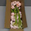Waipfaru Ranunculus Artificial Flowers, 18Pcs 14In Fake Peonies Artificial Flowers, Pink Faux Flower for Vase Silk Flower Real Touch Faux Peony Bulk for DIY Wedding Bouquet Home Bridal Shower Decor