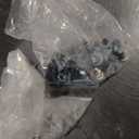 Brush Guard Compatible with 1998-2004 Chevrolet S10/Blazer GMC Jimmy/Envoy/Sonoma Isuzu Hombre Oldsmobile Bravada Powder Coated Grille Guard