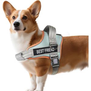 AUROTH Dog Harness No Pull Soft Padded Service Dog Vest, No Choke, Easy On Pet Vest with Handle, Adjustable Reflective Dog Harness for Small, Medium and Large Dogs, Easy Walking and Training