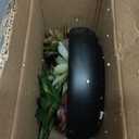 Braxio Decorative Bowl Modern Home Decor  Resin Ruffle Bowl Decorative Catchall for Entryway Dining Table Living Room Centerpiece Key Holder Fruit Bowl 9 x 9 x 2.6 Inch Art Deco Style