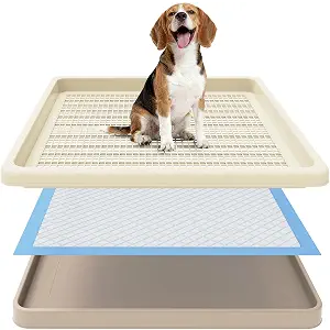 Dog Potty Tray Fits 22 x 22 In Pee Pad, Potty Training for Puppy Pad Holder
No More Torn Pee Pads, Smooth Dry-Paw Grid, Easy-Clean, Leak-Resistant Indoor Dog Potty For Apartments Balconies Rainy Days