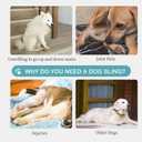 Dog Lift Harness - Post Surgery Support for Senior Dogs & Hip Dysplasia, Adjustable Sling for Small/Medium/Large Dogs, Potty-Friendly & No-Slip Design with Reflective Safety, M (Black)