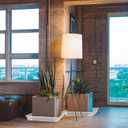 6 Pack 12 Inch Square Plant Saucer, Clear Durable Thick Plant Pot Dish for Flower Pot, Plastic Plant Tray to Catch Water for Indoor Outdoor