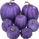 Winlyn 7 Pcs Assorted Sizes Purple Artificial Pumpkins and Gourds Decorative Halloween Pumpkins Foam Pumpkins for Gifts Chic Halloween Thanksgiving Fall Wedding Table Centerpiece Mantel Shelf Dcor