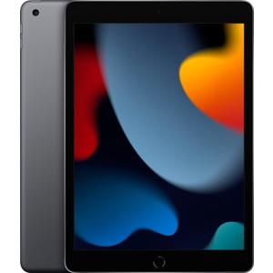 Apple 2021 iPad (10.2-inch, Wi-Fi, 256GB) - Space Gray
