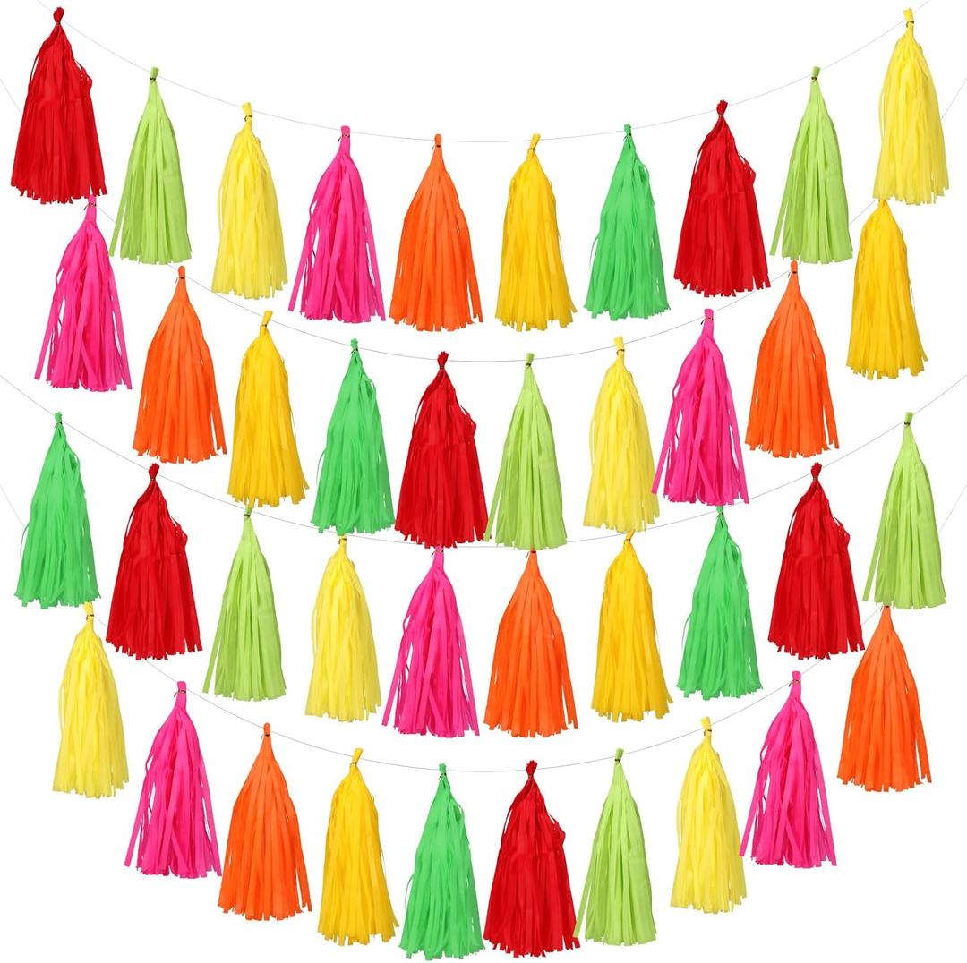 45 Pcs Colorful Tassel Garland Decorations Tissue Paper Tassel Banner Rainbow Garland Hanging Decorations for Wedding Bachelorette Baby Shower Birthday Group Activities Games Decor Supplies