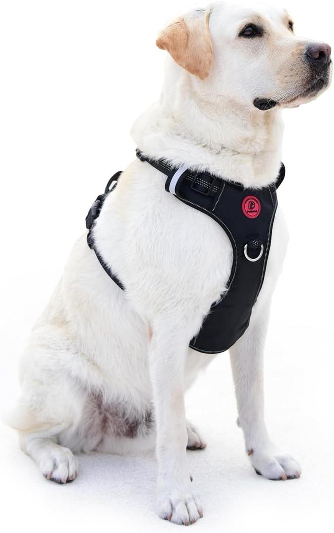 No Pull Dog Harness for Medium Dogs, 4 Secure Quick-Release Buckles & 2 Metal Leash Clips, Soft Control Handle, No-Choke Fit for Walking, Training & Everyday Use, Black, M
