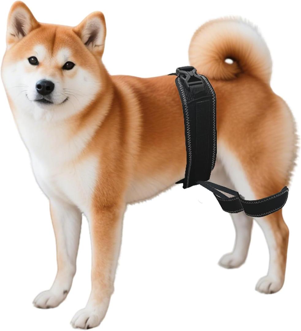 Dog Hip Orthotics Brace, Dog Hip Dysplasia Brace, Support for Hip Dysplasia, Arthritis, Luxating Patella, Back Leg limping, Relieve Hip Pain and Orthodontic Assistance - Medium