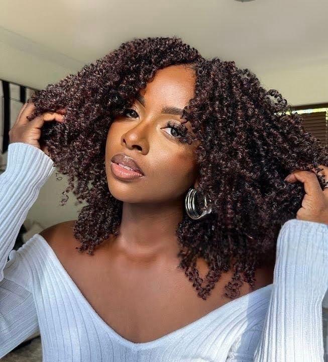 8 Packs Yanky Twist Crochet Hair Pre-looped Crochet Braids for Black Women 10 Inch Spring Mini Twist Hair Extensions Synthetic Braiding Hair(4#)