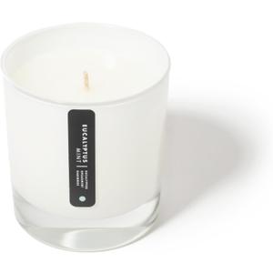 ScentAir- Scented Glass Jar Candle - Eucalyptus Mint