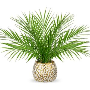 Briful Fake Plants 15'' Faux Palm Plant in Gold-White Pot Realistic Artificial Plants Indoor for Home Farmhouse Centrepieces Wedding Decorations, Blue 