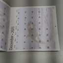 RED EMBER Orcas 2026 Wall Calendar 12 Month | 12" x 24" Open | Thick & Sturdy Paper | Holiday Gift | Animal Calendar 2026