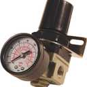 Primefit R1401G Mini Air Regulator with steel-Protected Gauge, 60-Scfm At 100-Psi, 1/4" Npt