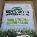 Scotts Kentucky 31 Grass Seed Mix - Premium Lawn Grass Seed, Covers Up to 5,000 sq. ft., 20 lb