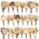 Layhit 24 Pcs Boho Dried Flower Bouquet Mini Wedding Handmade Dry Flowers Decor for Vase Crafts DIY Photo Boutonniere for Men Floral Plant for Bridesmaid Gift Birthday Decor(Stylish)