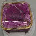 Beferr Valentines Day Gifts for Her Preserved Real Rose with Necklace Eternal Roses Fresh Flowers for Delivery Prime Birthday Anniversary Purple Gifts for Women Mom Wife Daughter Grandma Girlfriend