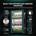 MARS HYDRO Indoor Greenhouse with Grow Light
4 Tier Seed Starting Shelf with 150W Full Spectrum LED Lights for Vegetables, Herbs and Indoor Plants, 37×14×59''