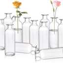 Peohud Set of 12 Glass Bud Vases, Clear Small Flower Vases, Decorative Glass Bottles Floral Vases for Home Decor, Wedding Reception, Party