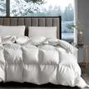 Hotel Grand White Goose Down Fiber Comforter Queen, Extra Warmth Fluffy Goose Down Fiber Winter Duvet Insert Queen, Hotel Collection Hypoallergenic Bedding Comforter for Cold Weather 55oz, 90" x 90"