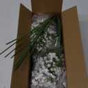 Yastouay Babys Breath Artificial Flowers, 21Pcs Fake White Babys Breath Flowers Artificial Bulk, Real Touch Faux Babies Breath Gypsophila Bouquet for Wedding Floral Arrangement Party Decor