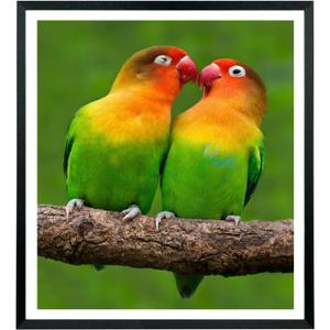 Mxtallup 21x24 Picture Frames Solid wood,Display Pictures 19x22 Inch With Mat or 21x24 Inch Without Mat, Poster Frames 19x22 in Photo Frames Wood Black (T22B2124W1922)