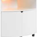 HOMES: Inside + Out Berg Modern 31-inch 16 Colors LED Corner Cabinet with Doors and 2 Shelves, USB Charge Cord, Small TV Stand for Living Room, Home Office, White