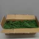 9FT Christmas Garlands Norfolk Pine Garland Real Touch Artificial Faux Greenery Garland for Holiday Indoor Outdoor Decor (9 ft (1 Pack- Young ))