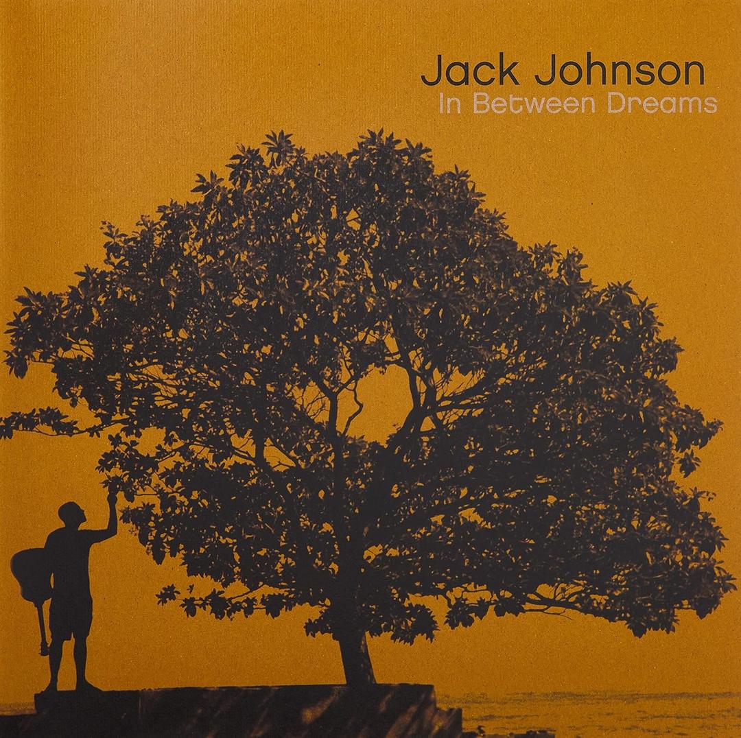 In Between Dreams [Vinyl] by Jack Johnson