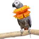 Neck Collar for African Grey Parrots Feather Plucking Bird Anti Bite Collar Neck Shield