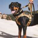 EXCELLENT ELITE SPANKER Tactical Dog Harness Vest with Handle Military Dog Harness Adjustable Training Harness No Pull Dog Harness for Small Medium Large Dogs(Ranger Green-M) (M (Chest:27.5''-35.4''))