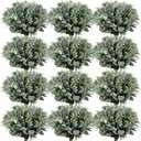 Janinka Mixed Eucalyptus Leaves Stems Bulk with White Seeds Artificial Silver Dollar Leaves Sprays Faux Oval for Wreath Garland Floral Bouquets Arrangement Wedding Greenery Decoration(60 Pcs)