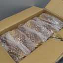 HTTBEIZI 24PCS 7OZ Amber Plastic Glasses, Drinking Champagne Glasses Flutes Crystal Vintage Water Unbreakable Goblets for Wedding, Parties