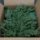 Best Choice Products Pre-Lit Cedar Cypress Christmas Garland w/Twinkling LEDs, 6Ft Realistic Indoor Holiday Accent Decor for Door, Mantle, Battery