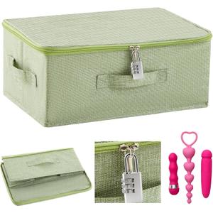 Briwooody Discreet Lockable Toy Bag Storage Organizer Toy Bag Storage Bins Case with Zipper Lid for Women and Men Clothes Container(Light Green,15 x 10 x 6.3 Inch)
