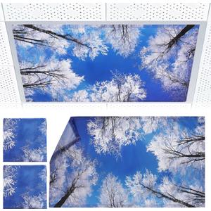 2pcs Fluorescent Light Covers - Light Covers for Ceiling Lights Classroom, Magnetic Light Filters for Office, Hospitals, Home 4 x 2 Feet (winter)
