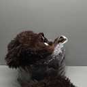 XeGe Plush Shaggy Brown Duvet Cover Set, Luxury Ultra Soft Velvet Fluffy Bedding Sets 3 Pieces(1 Furry Faux Fur Comforter Cover + 2 Fuzzy Faux Fur Pillowcases), Zipper Closure(King, Coffee)