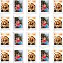 20 Pack Acrylic Polaroid Refrigerator Magnet Picture Frames, Clear Mini Frames for Instant Photos, 2.36 x 3.54 Inch Magnetic Instax Frame for Refrigerator Display