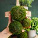 BYHER Decorative Moss Balls Set - Fake Moss Balls for Bowl Fillers, Centerpiece Decor, Home Decor, Vase Filler, Wedding Decor, Table Arrangement, Coffee Accents, DIY Crafts (Small - 2"-Set of 12)