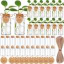 36 Packs Plant Propagation Stations with Hole Lid Clear Plastic Cultivation Bottles Tabletop Hydroponic Containers with Thank You Tags for Home Gardening Office Desktop Decoration