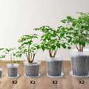 Large Clear Nursery pots for Plants with Saucers,10 pcs 9.5/8.3/7/6/5 inch Thick Plastic Nursery pots for Plants with Drainage Holes for Monstera,Aroid