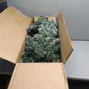 Pre-Lit Christmas Tree Set of 3 - Snowy and Slim