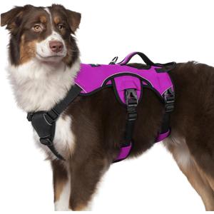 rabbitgoo Escape Proof Dog Harness, Soft Padded Full Body Pet Harness, Reflective Adjustable No Pull Vest with Lift Handle and Leash Clip for Large Dogs Walking Hiking Training, M, Purple (Medium (Pack of 1))