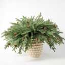 DN DECONATION Artificial Christmas Norfolk Pine Stems, Faux Pine Branches with Cones 22.4" 12PCS - Greenery Fake Pine Needles for Vase Arrangements, Winter, Holiday Indoor Outdoor Home Decor (Set of 12, Green and Brown57)