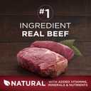Purina ONE Wet Dog Food True Instinct Classic Ground Grain-Free Formula With Real Beef and Bison High Protein Dog Food - (Pack of 12) 13 oz. Cans (EXP 09/30/27)