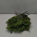 Jutom 12 Pcs 17 Inch Christmas Fake Juniper Cedar Pine Branches, Faux Cedar Branches Artificial Christmas Sprigs Picks for Home Decoration Garland Wreath DIY Craft Garden Holiday